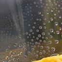 ���� ������, ������, 45 ��� - ��������� 9 ����� 2009 � ������ �������� �������