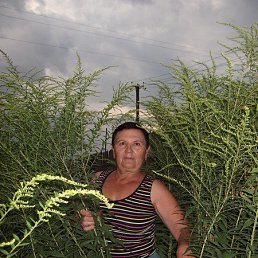 �������, ������, 74 ����