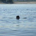 ���� ������, ��������, 39 ��� - ��������� 28 ���� 2011 � ������ �����