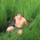 ���� �����, ������, 43 ���� - ��������� 11 ������ 2012 � ������ ���� ����������