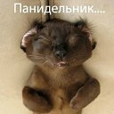 ���� ������, �����-��������� - ��������� 7 ���� 2011 � ������ ��������� �������