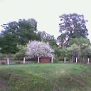 ���� ���, �������, 60 ��� - ��������� 12 ������ 2012 � ������ ���� ����������