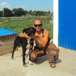 �������, 53 ����, ����������