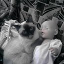 ���� ���@����@, �������, 49 ��� - ��������� 14 ����� 2010 � ������ ���� �����