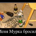 ���� �����1, �����-���������, 50 ��� - ��������� 14 ���� 2013 � ������ ���� ����������