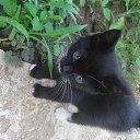 ���� �������, �����, 57 ��� - ��������� 2 ���� 2013 � ������ ����� ��� ������������