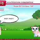  , , 37  -  21  2010   PetLove