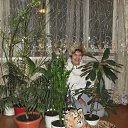 ���� ������, �����������, 70 ��� - ��������� 28 ������� 2012 � ������ �Foto Sympathy�