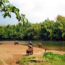 ������� �� ������ �� ������� ���� �������.�