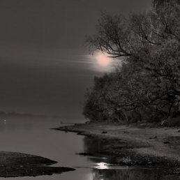 ������, ������, 47 ���