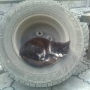 ���� V�������, ��������� - ��������� 26 ������� 2010 � ������ �������,������ ���� )))�