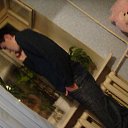 ���� ����, ������, 35 ��� - ��������� 22 ������ 2009 � ������ �������