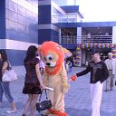  , -, 42  -  13  2010