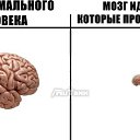  , , 33  -  28  2013    