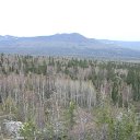   : , C, ...     ,      ,   .      