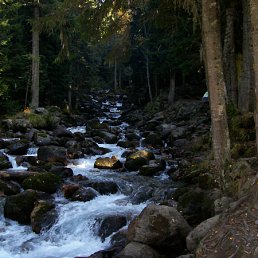 ���� *�������, �����������, 62 ���� - ��������� 9 ��� 2010