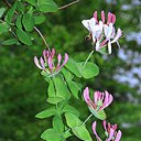 ���� ����. ��������� �� ��!, ������, 72 ���� - ��������� 30 ������ 2011 � ������ ����� � �����