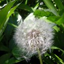  , , 36  -  25  2010      . 2010. .