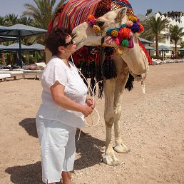 ���� ���� ��������, ������, 78 ��� - ��������� 16 ������� 2013