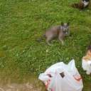 ������ ������.. �� ������� ����λ