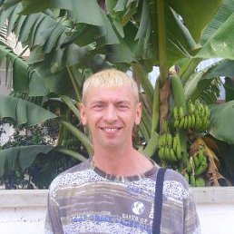 Serjinio, ������������, 54 ����