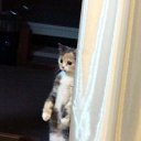 ���� Lana, ������ - ��������� 28 ��� 2011 � ������ �������