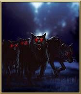 ���� �����, �������, 43 ���� - ��������� 19 ������� 2010