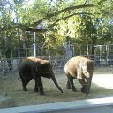 ���� �����, ������-��-����, 50 ��� - ��������� 18 ������ 2009 � ������ �������