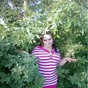 ���� �����, ������, 33 ���� - ��������� 13 ��� 2012 � ������ ���� ����������