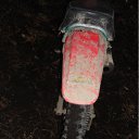 ���� ����� ����, ����, 34 ���� - ��������� 27 ����� 2012 � ������ ���� ����������