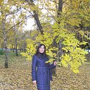 ���� ������� =, ���������, 52 ���� - ��������� 14 ������� 2012 � ������ ���� ����������