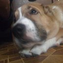 ���� �������, ������, 60 ��� - ��������� 16 ������ 2011