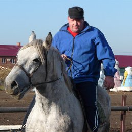 ������, ��������, 54 ����