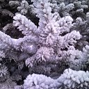 ���� Michael, ������, 57 ��� - ��������� 12 ���� 2010 � ������ ����� � �����������