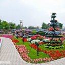 ���� ������ Al Ain Paradis �� ������� �������
