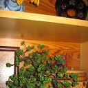 �� �� ����� ������ ������ ������ ��� ���������� ������ �� ����� �� ������� ��������������� �� �������