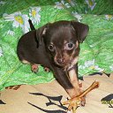 ���� Storm, ���������, 46 ��� - ��������� 18 ������� 2012 � ������ ���� ����������