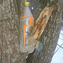 ���� ��������, ��������� - ��������� 17 ������ 2012 � ������ ���� ����������