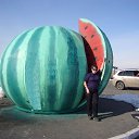 �������, ���� 2013 �� ������� ���� ����������