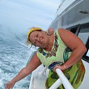 �� ������