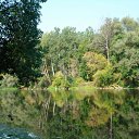 ���� ��������, ��������, 47 ��� - ��������� 2 �������� 2012