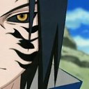 ���� �����, ������������, 40 ��� - ��������� 23 ���� 2011 � ������ �PetLove�