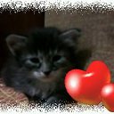 ���� �����, ������, 36 ��� - ��������� 31 ������� 2012 � ������ �������