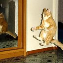 ���� ����� - ���������� ��������!!!, �����������, 56 ��� - ��������� 13 ������� 2009 � ������ ��������� (�����)�