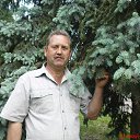 ���� ��������, ������-��-����, 61 ��� - ��������� 20 ����� 2013 � ������ ���� ����������