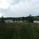 ���� ����, ���������, 49 ��� - ��������� 1 ������� 2012 � ������ ������,������� �����