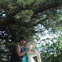 ��������� ������������ ��� �� ������� ������� 2013�