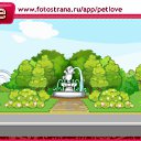 ���� �����, �����, 25 ��� - ��������� 30 ������� 2010 � ������ �PetLove�