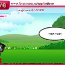  , , 22  -  26  2010   PetLove