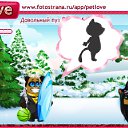  , , 36  -  13  2011   PetLove